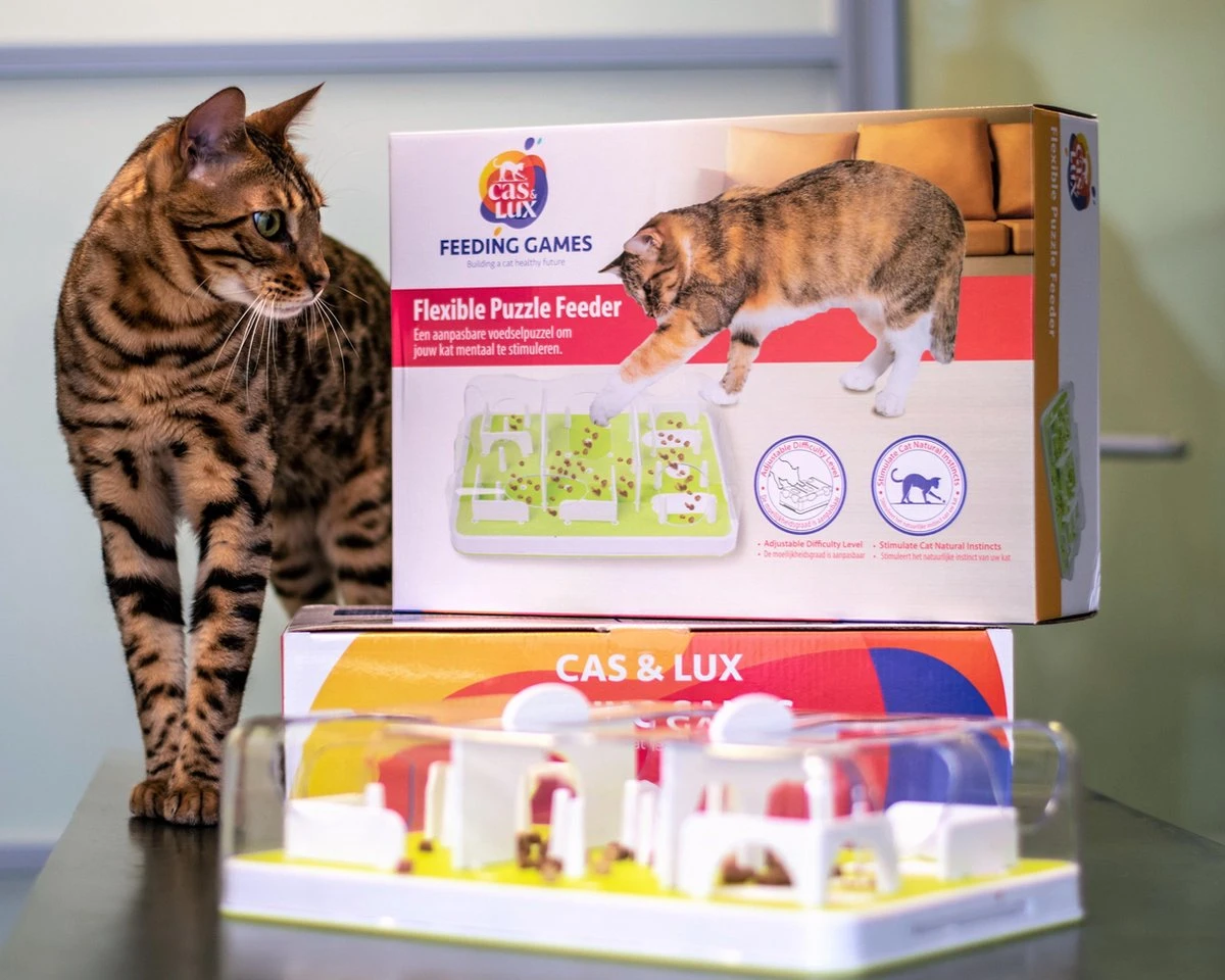 Cas & Lux Modulaire Puzzel Voederbak Voor Katten - Anti Schrokbak Kat - Inclusief 3 Verschillende Standen - Stijlvol Design - Voerpuzzel Kat - Slowfeeder - Kattenspeeltjes - Puzzel Kat - Anti Schrok 2 Cas & Lux Modulaire Puzzel Voederbak Voor Katten - Anti Schrokbak Kat - Inclusief 3 Verschillende Standen - Stijlvol Design - Voerpuzzel Kat - Slowfeeder - Kattenspeeltjes - Puzzel Kat - Anti Schrok - Afbeelding 2