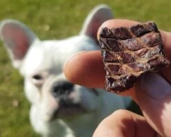 Topdiervoeding Lamslong Hondensnacks - Vers Gedroogd - Knapperig - 1 KG -Huisdierbenodigdheden 1200x960 4