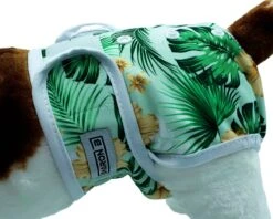 Loopsheidbroekje Hond - Bloemenprint - Maat M - Voor Middelgrote Honden - Herbruikbaar - Hondenbroekje - Hondenluier - Loopsheid - Ongesteldheid - Voorkomt Ongewenste Zwangerschappen Bij Teefjes - Milieuvriendelijk - Verantwoord - Perfecte Pasvorm -Huisdierbenodigdheden 1200x961 7