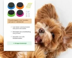 Praatknop Hond – Set Van 4 - Honden Speelgoed – Honden Training – Dogbuttons – Huisdier – Puppy Training - Hondenspeelgoed Intelligentie - Hond Opvoeden -Huisdierbenodigdheden 1200x972