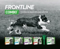 Frontline Combo - L: Van 20 Tot 40 Kg - Anti Vlooienmiddel En Tekenmiddel - Hond - 3 Pipetten 19 Frontline Combo - L: Van 20 Tot 40 Kg - Anti Vlooienmiddel En Tekenmiddel - Hond - 3 Pipetten -Huisdierbenodigdheden 1200x979 4