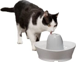 PetSafe® Streamside Ceramic Pet Fountain - Keramische Drinkfontein Voor Katten En Kleine Honden - Water Borrelt Zacht Over De Toren - Door Het Design Van Alle Kanten Bereikbaar - 1,8 Liter - PetSafe Streamside -Huisdierbenodigdheden 1200x983 3