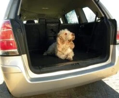 Carpoint Nylon Hondennet Auto Afscherming Hond