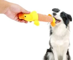 Hiden | Hondenspeelgoed - Pluche - Hondenspeeltjes - Huisdieren - Hondenknuffel | Eend -Huisdierbenodigdheden 1200x992 9