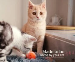 Cheerble Mini Ball 2.0 - Slimme Interactieve Zelf Rollende Bal Voor Katten - 3 Speelmodi - Kattenspeeltjes - USB Oplaadbaar - Rood -Huisdierbenodigdheden 1200x994 10