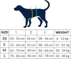 AnnyX Hondentuig - FUN - LIMTED EDITION - Speurtuig - Camouflage - Legergroen - Maat S - Borstomvang 52-64cm - Gewicht Hond 9 -19 Kg - My K9 -Huisdierbenodigdheden 1200x995 10