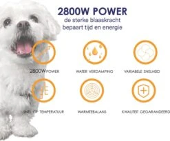 Forgoods Professionele Hondenfohn - Waterblazer Voor Honden - Hondenfohn Met 4 Opzetstukken - 2800W Verstelbaar Vermogen - Roze -Huisdierbenodigdheden 1200x997