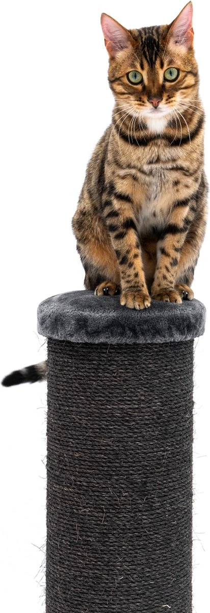 Petrebels Savannah 86 Krabpaal - Pepper - 20 Cm Stam - Zwaar En Stabiel 6 Petrebels Savannah 86 Krabpaal - Pepper - 20 Cm Stam - Zwaar En Stabiel - Afbeelding 6