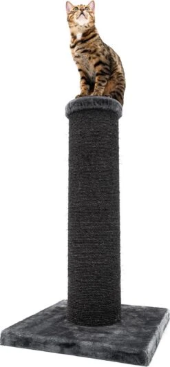 Petrebels Savannah 86 Krabpaal - Pepper - 20 Cm Stam - Zwaar En Stabiel 11 Petrebels Savannah 86 Krabpaal - Pepper - 20 Cm Stam - Zwaar En Stabiel -Huisdierbenodigdheden 557x1200 3