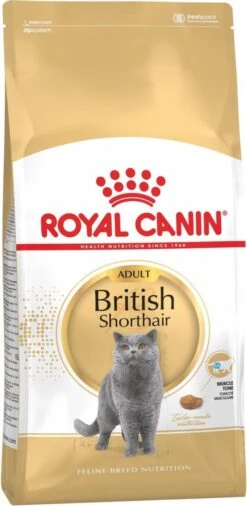 Royal Canin British Shorthair Adult - Kattenvoer - 2 Kg -Huisdierbenodigdheden 586x1200 1