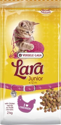 Lara Kitten (2 KG)