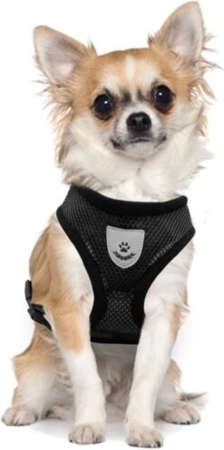 Ease Store Kattentuigje – Maat M – Met Looplijn – Kittentuigje – Dierentuigje – Hondentuigje – Reflecterend – Zwart 9 Ease Store Kattentuigje – Maat M – Met Looplijn – Kittentuigje – Dierentuigje – Hondentuigje – Reflecterend – Zwart -Huisdierbenodigdheden 597x1200 9