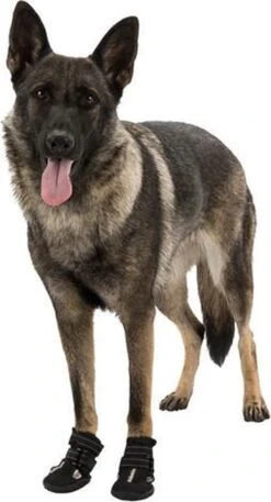 Trixie Walker Active Hondenschoen - Zwart - Maat M/L -Huisdierbenodigdheden 648x1200 1