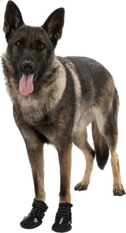 Trixie Walker Active Hondenschoen - Maat S - 2 St. -Huisdierbenodigdheden 649x1200 5