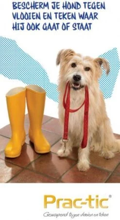 Prac-tic Middel Grote Hond 11 Tot 22 Kg - 1 St à 3 Pipetten -Huisdierbenodigdheden 658x1200 5