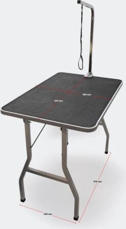 VidaXL Trimtafel Voor Huisdieren Met 1 Aanlijnoptie -Huisdierbenodigdheden 660x1200 4