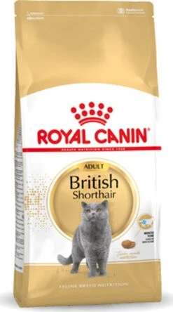 Royal Canin British Shorthair Adult - Kattenvoer - 2 Kg -Huisdierbenodigdheden 668x1200 5