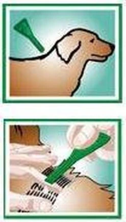 Frontline Combo - L: Van 20 Tot 40 Kg - Anti Vlooienmiddel En Tekenmiddel - Hond - 3 Pipetten 26 Frontline Combo - L: Van 20 Tot 40 Kg - Anti Vlooienmiddel En Tekenmiddel - Hond - 3 Pipetten -Huisdierbenodigdheden 681x1200 2