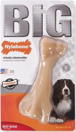 Nylabone Big Chew Kauwbot - Kipsmaak - Hond Zwaarder Dan 23 Kg 18 Nylabone Big Chew Kauwbot - Kipsmaak - Hond Zwaarder Dan 23 Kg -Huisdierbenodigdheden 687x1200 3