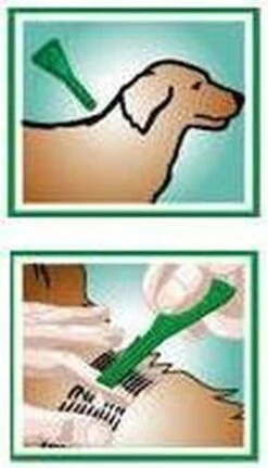 Beaphar Fiprotec Vlooien- En Tekenmiddel Hond 10-20 Kg - 4 Pipetten -Huisdierbenodigdheden 688x1200