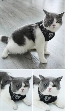 Zavelo® Honden Tuigje - Puppy En Kattentuigje - Hondenharnas - Reflecterend - Incl. Bijpassend Riempje - Zwart-Maat: S -Huisdierbenodigdheden 703x1200 2