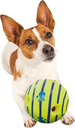 Wobble Wag Giggle Bal+ Honden Touw (30cm)- Honden Bal - Honden Speeltjes - Honden Speelgoed Intelligentie -Huisdierbenodigdheden 705x1200