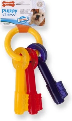 Nylabone Puppy Teething Key Flexible Geel&Blauw&Rood - Hondenspeelgoed - Wolf Tot 16kg -Huisdierbenodigdheden 713x1200 5