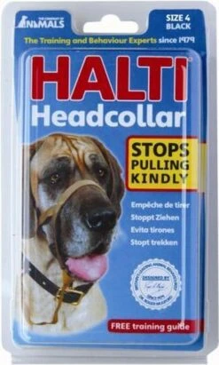 Halti Headcollar - Maat 2 -Huisdierbenodigdheden 721x1200 2
