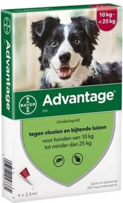 Bayer Advantage 100 Hond 4-10 Kg - 4 Pipetten à 1,0 Ml -Huisdierbenodigdheden 726x1200