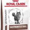 Royal Canin Gastro Intestinal - Kattenvoer - 4 Kg
