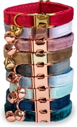 ACE Pets Kattenhalsband Met Belletje – Halsband Kat & Kitten - Kittenhalsband & Kattenbandje - Kattenbelletje - Pluche Velvet - Groen -Huisdierbenodigdheden 731x1200 5