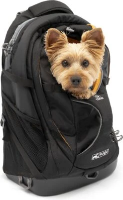 Hondenrugzak Voor Kleine Honden Met Diverse Opbergvakken - Voor Honden Tot 11 Kg - Kurgo G-train K9 - 33x53x25cm - Black -Huisdierbenodigdheden 738x1200