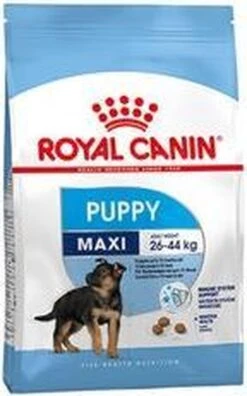 Royal Canin Maxi Junior - Hondenvoer - 10 Kg -Huisdierbenodigdheden 748x1200 1