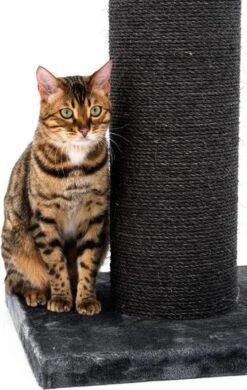 Petrebels Savannah 86 Krabpaal - Pepper - 20 Cm Stam - Zwaar En Stabiel 12 Petrebels Savannah 86 Krabpaal - Pepper - 20 Cm Stam - Zwaar En Stabiel -Huisdierbenodigdheden 760x1200 6