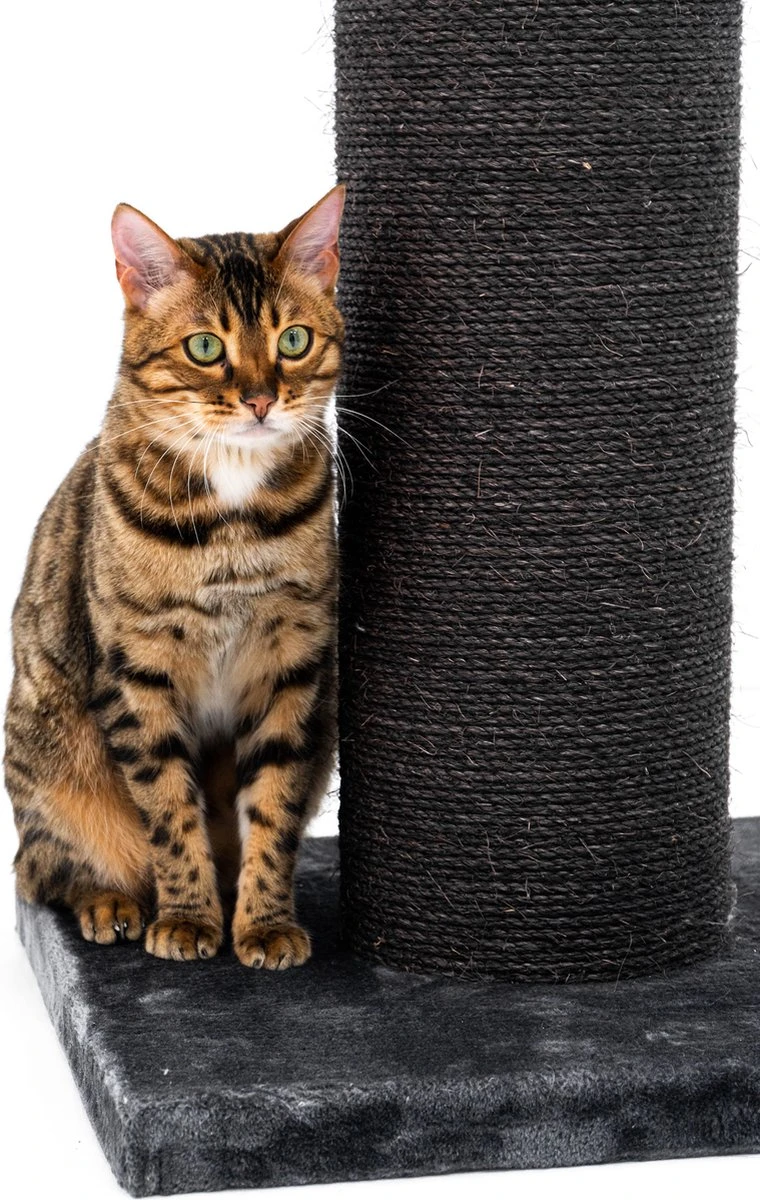 Petrebels Savannah 86 Krabpaal - Pepper - 20 Cm Stam - Zwaar En Stabiel 4 Petrebels Savannah 86 Krabpaal - Pepper - 20 Cm Stam - Zwaar En Stabiel - Afbeelding 4