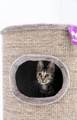 Petrebels Dome 80 Krabton Voor Katten -Cappuccino - Ø 45 X 80 Cm - Stabiel -Huisdierbenodigdheden 771x1200 4