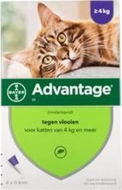Advantage 80 Vlooiendruppelsl Kat Vanaf 4 Kg - 4 Pipetten -Huisdierbenodigdheden 773x1200 11