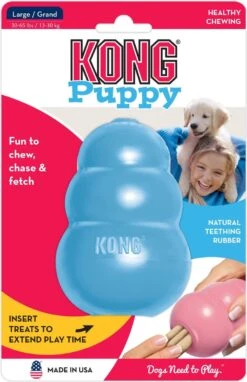 Kong Puppy - Hondenspeelgoed - Assorti - M -Huisdierbenodigdheden 776x1200 5