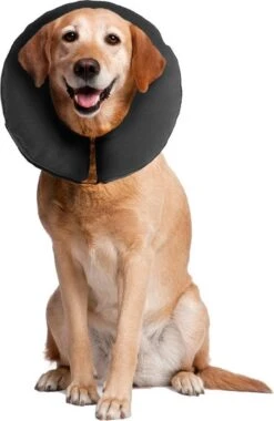Zenpet ProCollar Hondenkraag XL – Hondenkraag – Beschermkraag Hond – Hondenkap Na Operaties – Zwart – Nek Omtrek 40.6 Tot 55.9cm -Huisdierbenodigdheden 780x1200 1