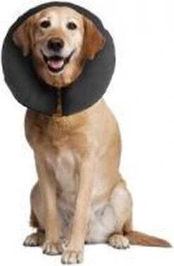 Zenpet ProCollar Hondenkraag XL – Hondenkraag – Beschermkraag Hond – Hondenkap Na Operaties – Zwart – Nek Omtrek 40.6 Tot 55.9cm -Huisdierbenodigdheden 784x1200 2