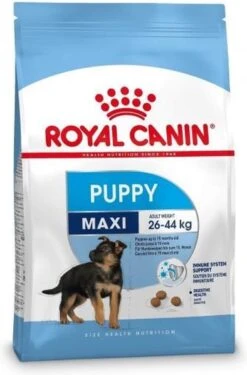Royal Canin Maxi Junior - Hondenvoer - 10 Kg -Huisdierbenodigdheden 790x1200 6