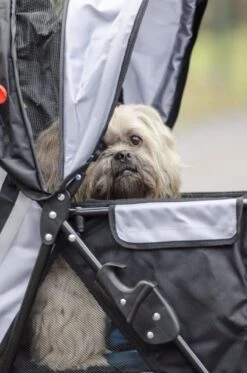 InnoPet All Terrain - Hondenbuggy - Zwart/Zilver - 85x52x96cm 23 InnoPet All Terrain - Hondenbuggy - Zwart/Zilver - 85x52x96cm -Huisdierbenodigdheden 794x1200 2