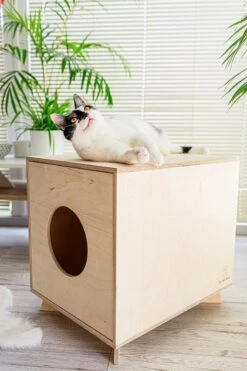 Catandwood Kattenhuis - Kattenbakcontainer - Kattenbak Ombouw - Hout -Huisdierbenodigdheden 799x1200 17