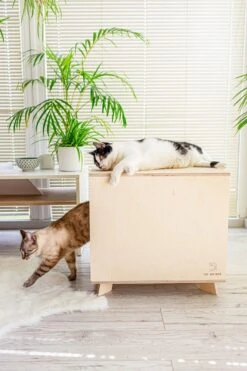 Catandwood Kattenhuis - Kattenbakcontainer - Kattenbak Ombouw - Hout -Huisdierbenodigdheden 799x1200 18