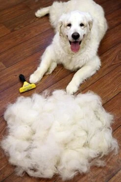 Furminator® Hond Langhaar - Vermindert Haaruitval Tot 90% - Hondenborstel - L -Huisdierbenodigdheden 800x1200 3