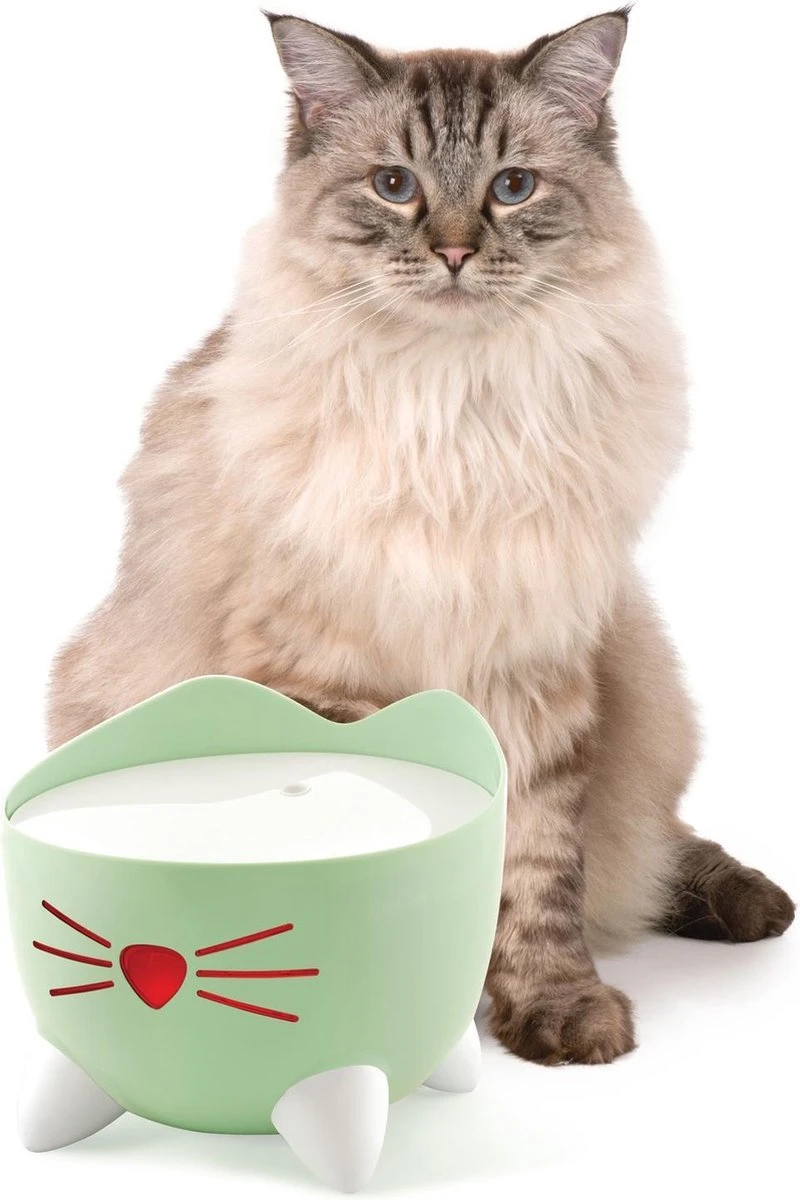 Catit Pixi Fountain - Kattendrinkbak - 20x20x16 Cm Groen 4 Catit Pixi Fountain - Kattendrinkbak - 20x20x16 Cm Groen - Afbeelding 4