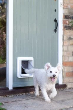 SureFlap Microchip - Kattenluik - Wit - L - 18 X 17 Cm -Huisdierbenodigdheden 800x1200 61