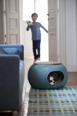 Curver Cozy Pet Home - Kattenmand - Crème - Ø 55 Cm -Huisdierbenodigdheden 800x1200 65
