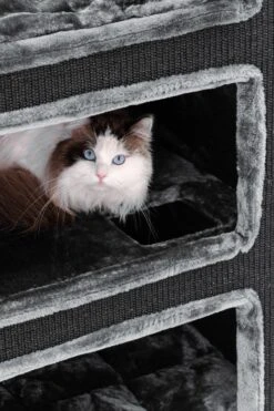 Petrebels Vault 117 Krabton XL - Pepper - 76 X 56 X 117 Cm 19 Petrebels Vault 117 Krabton XL - Pepper - 76 X 56 X 117 Cm -Huisdierbenodigdheden 800x1200 69