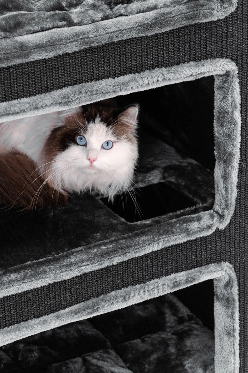 Petrebels Vault 117 Krabton XL - Pepper - 76 X 56 X 117 Cm 8 Petrebels Vault 117 Krabton XL - Pepper - 76 X 56 X 117 Cm - Afbeelding 8